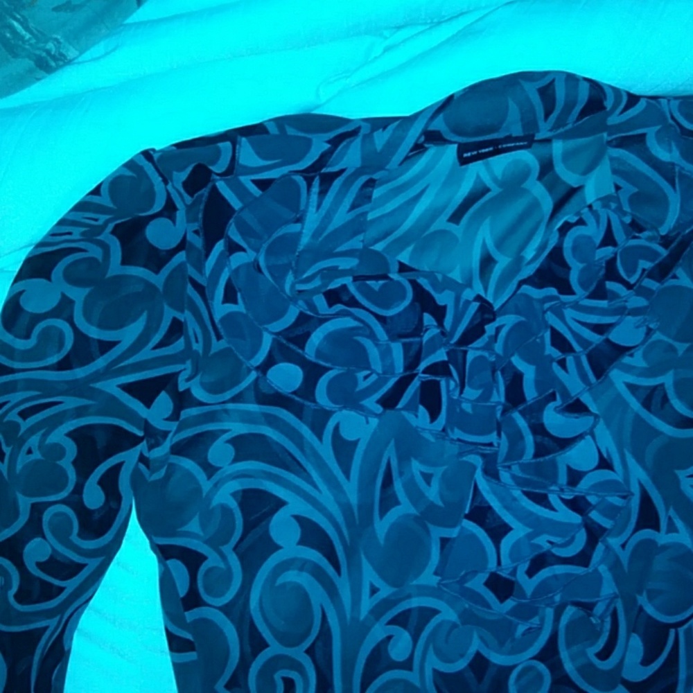 New York and Co. Long sleeved sheer blouse